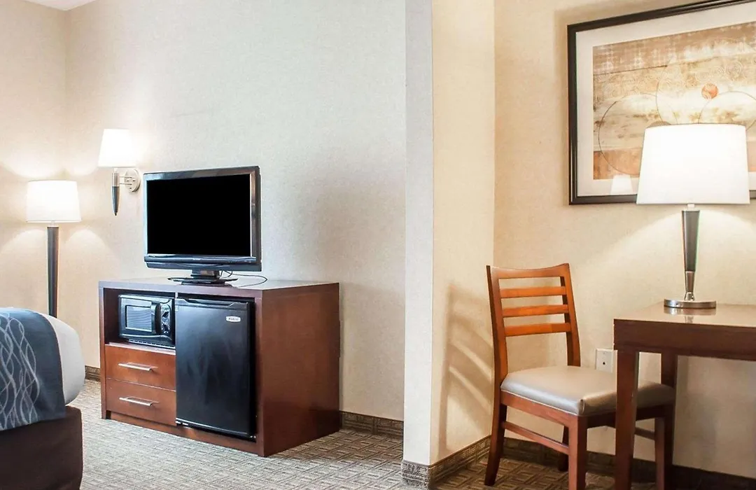 Comfort Inn & Suites Hamburg - Buffalo South-1