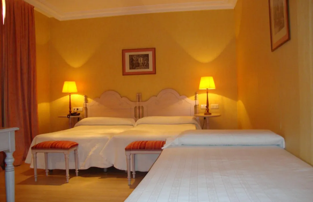 Hotel San Camilo-1