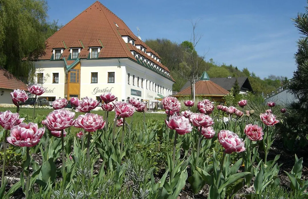 Landhotel Wachau - Bed And Breakfast-1