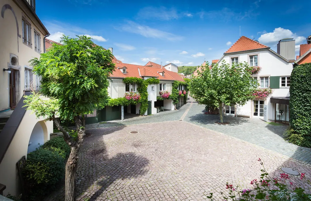 Hotel & Spa A La Cour D'Alsace By Happyculture-1