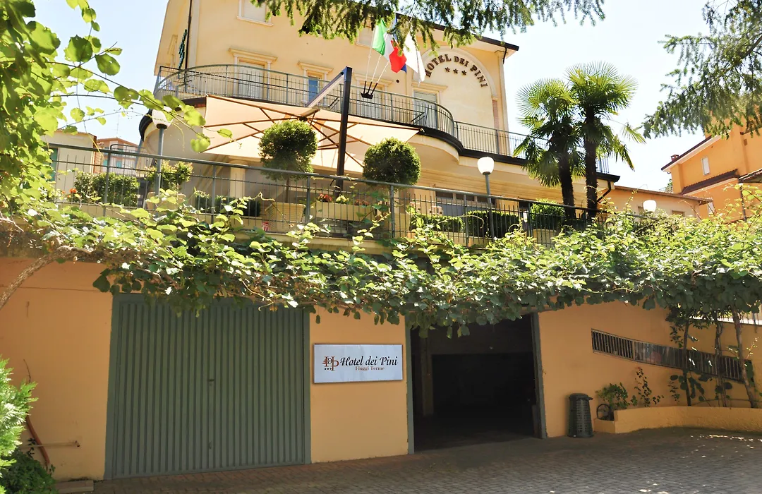 Hotel Dei Pini-1