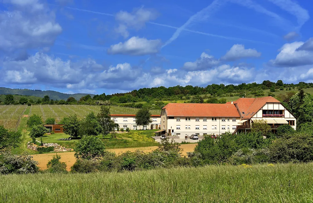 Hôtel du Bollenberg Cit'Hotel - Restaurant Côté Plaine - Spa de la Colline-1