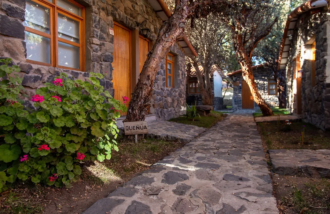 Casa Andina Standard Colca-1