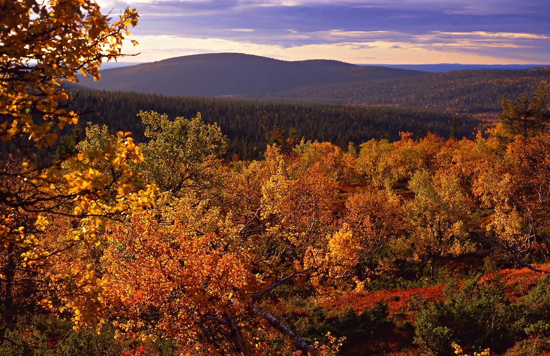 Lapland Hotels Yllaeskaltio-1