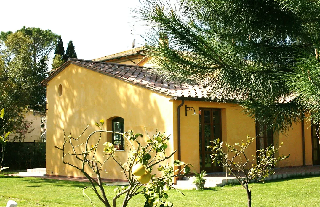Pisa Holidays-1