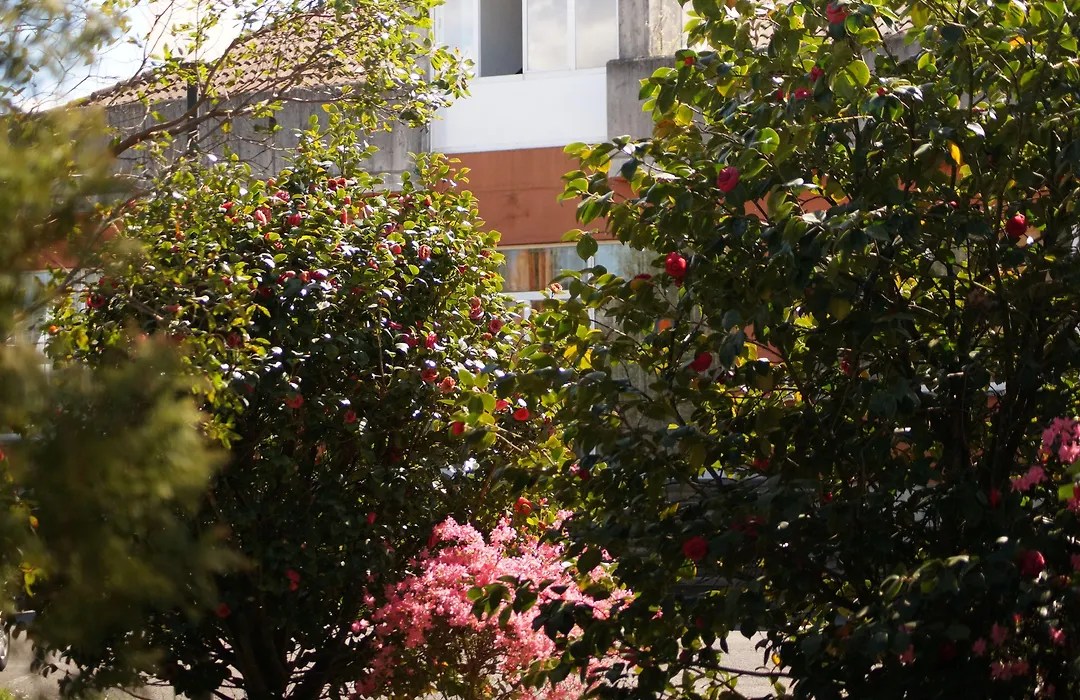 B&B Hotel Oviedo-1