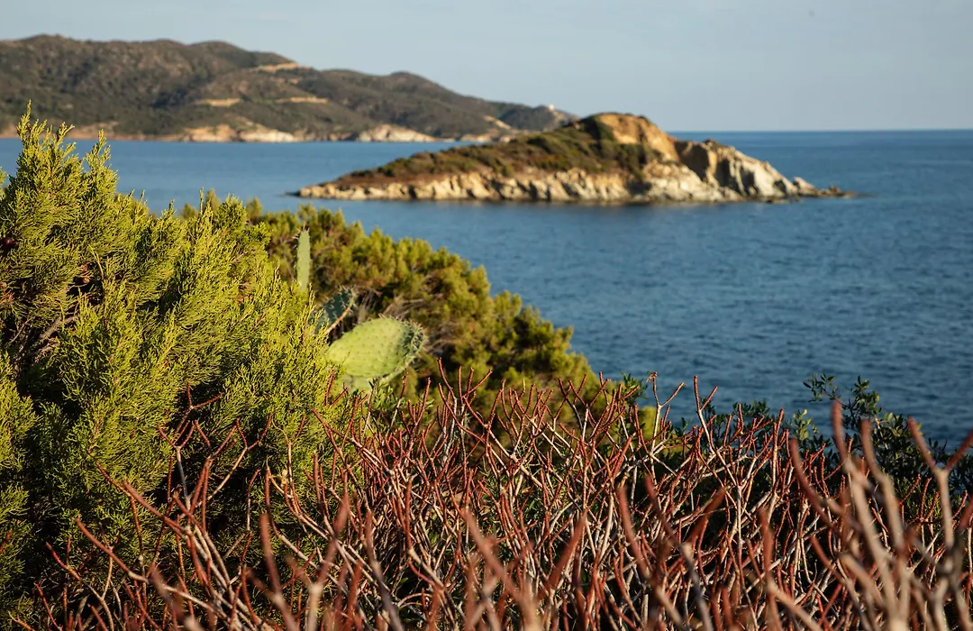 Eco Village Baia Delle Ginestre-1