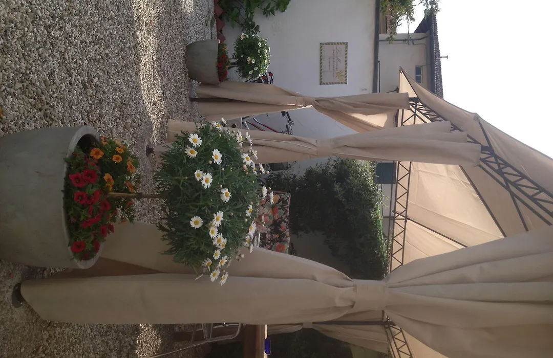 B&B La Mimosa-1