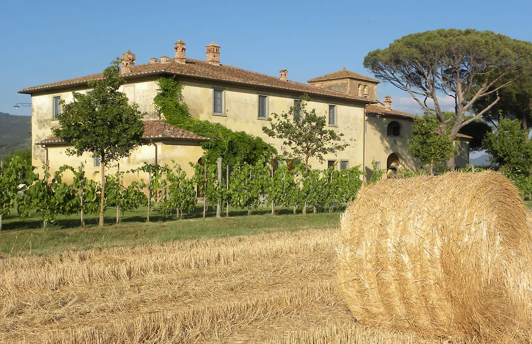 Cortona Resort-Le Terre Dei Cavalieri-1