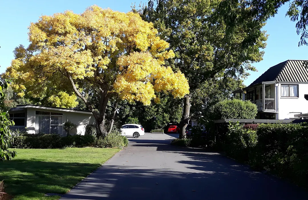 Ashleigh Court Motel-Christchurch Hagley Park-1