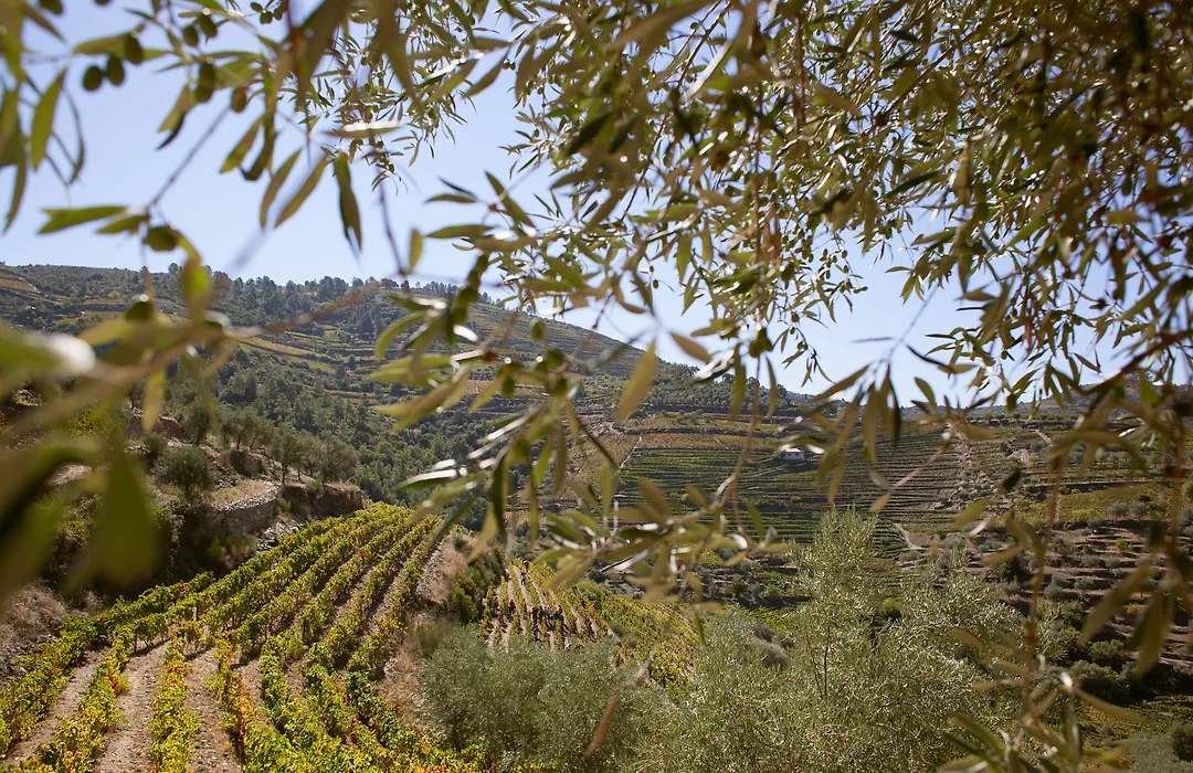 Hotel Rural Da Quinta Do Silval-1