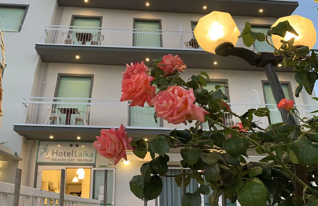 Hotel Laika-1
