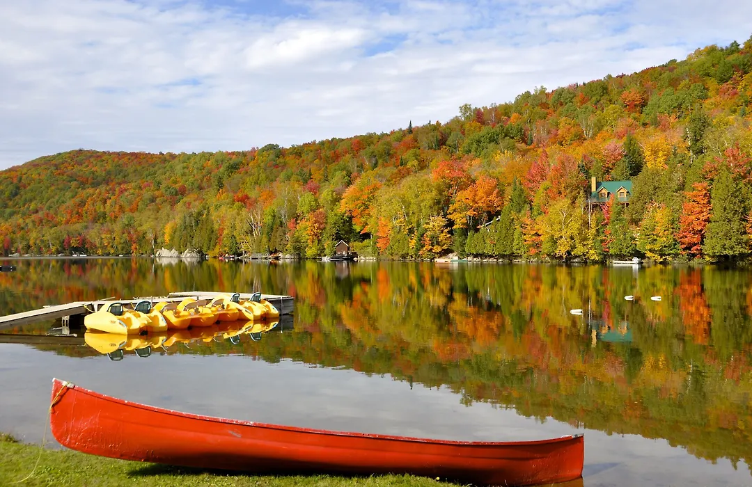 Le Boise Du Lac-1