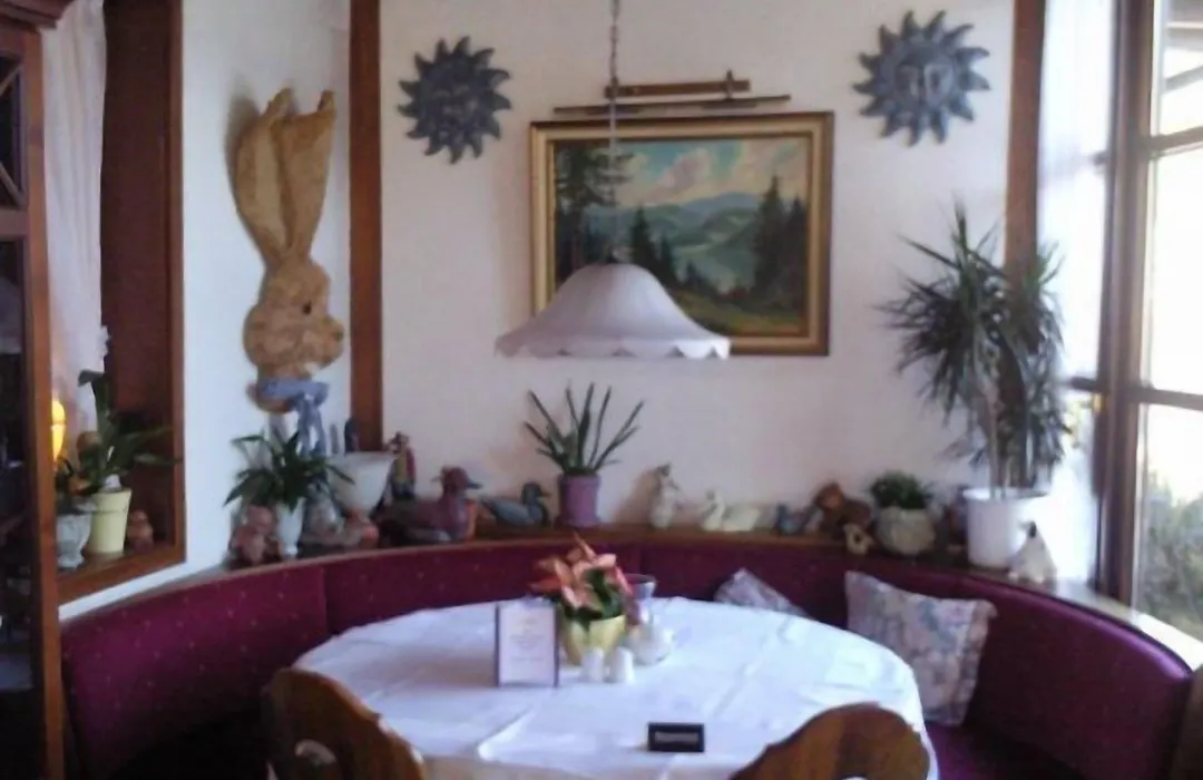 Hotel Sarbacher-1