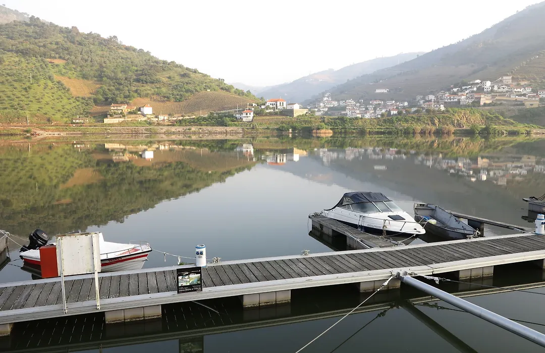 Hotel Folgosa Douro-1