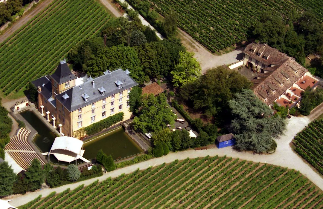 Hotel Schloss Edesheim-1