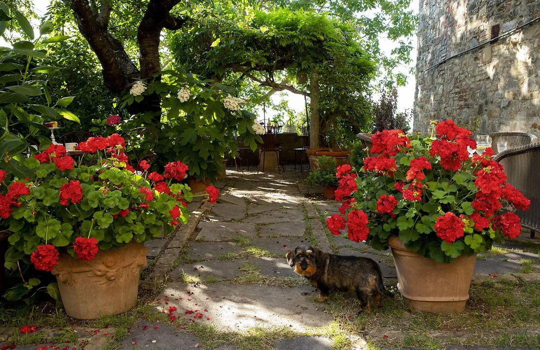 Palazzo Malaspina B&B-1
