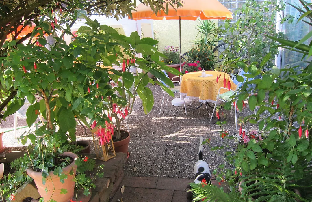 Haus am Kurpark-1