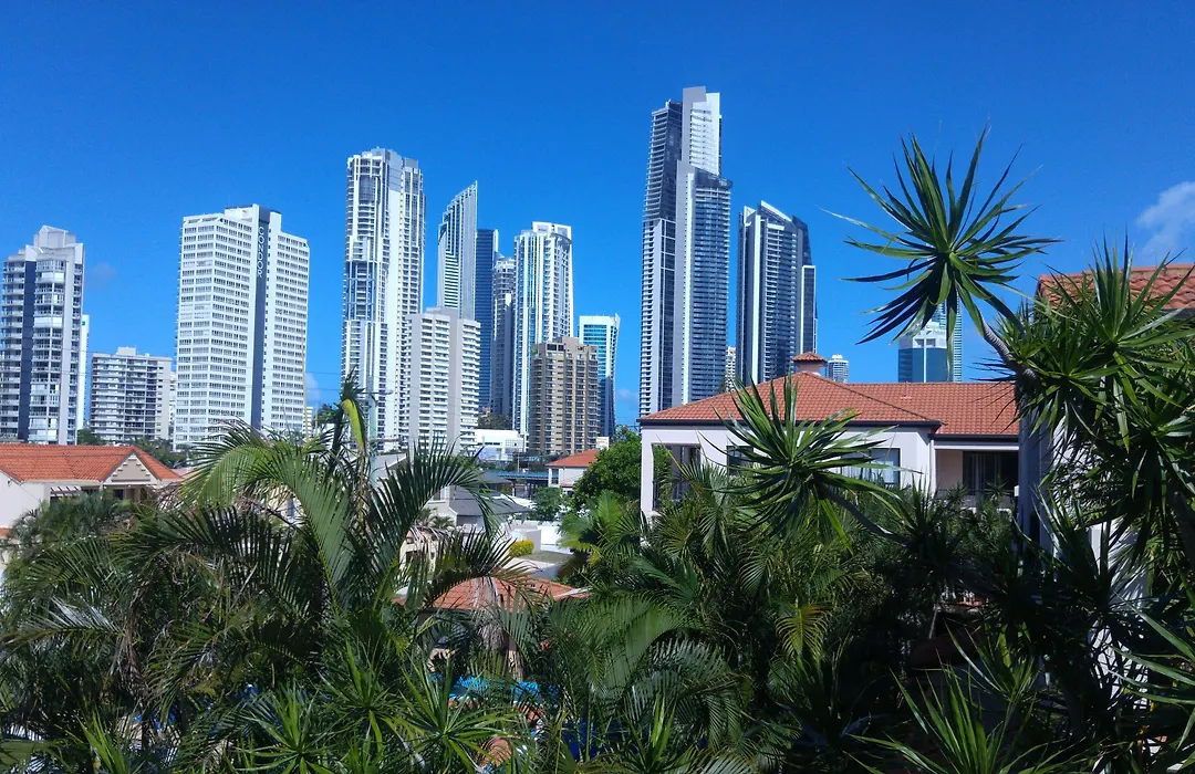 Chevron Palms-1