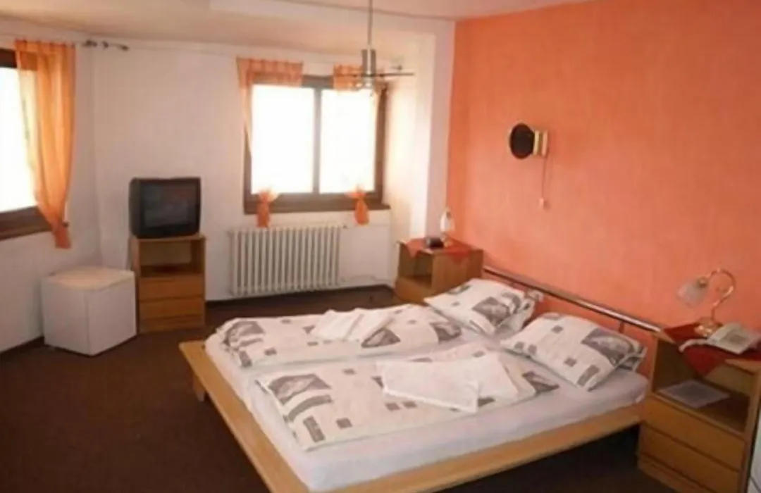 Hotel Slovan-1