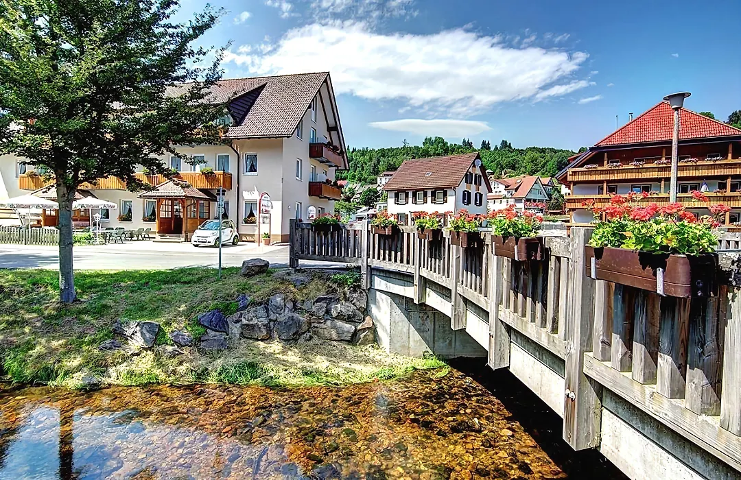 Hotel Restaurant Schwörer-1