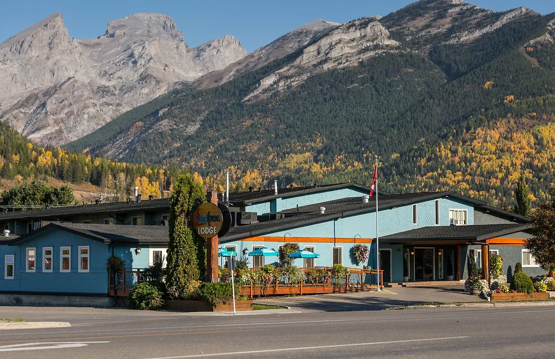Red Tree Lodge-1