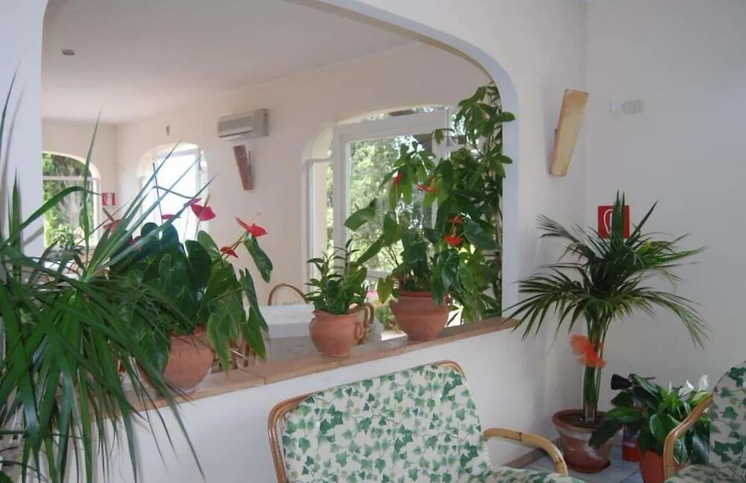 Hotel Belvedere-1