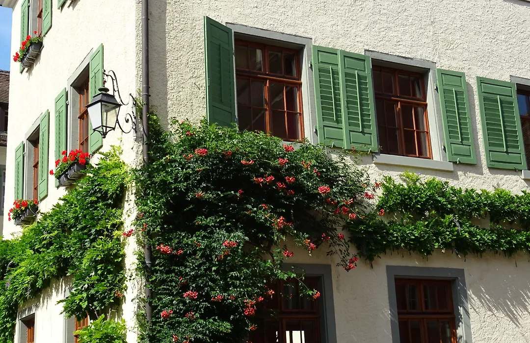 JUFA Hotel Meersburg am Bodensee-1