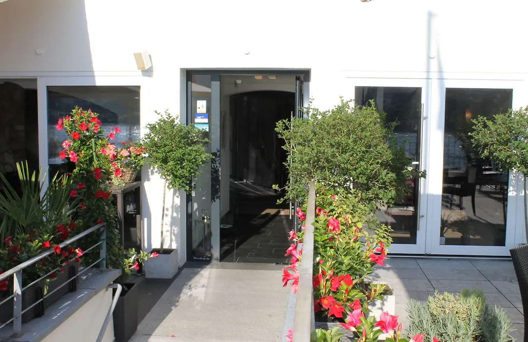 Rheinhotel Arte-1
