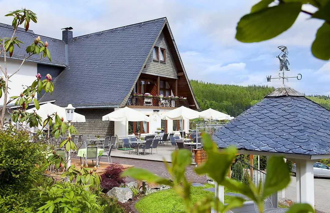 Wald Hotel Willingen-1