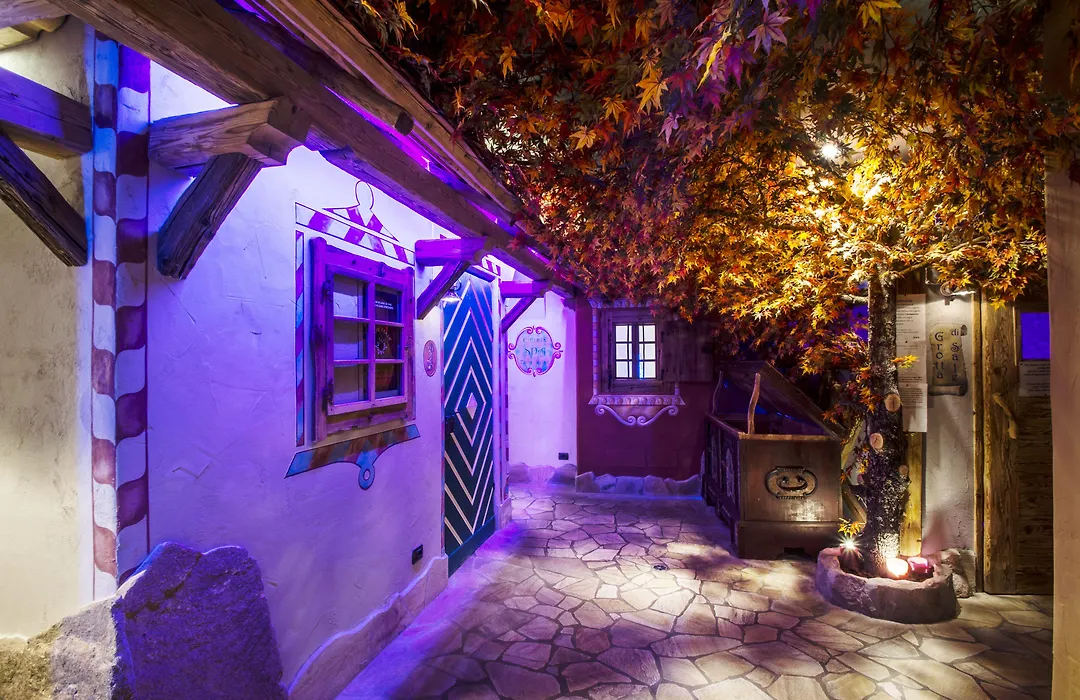 Hotel Arnika Wellness-1