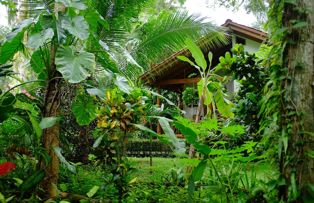 Hotel La Palapa Eco Lodge Resort-1