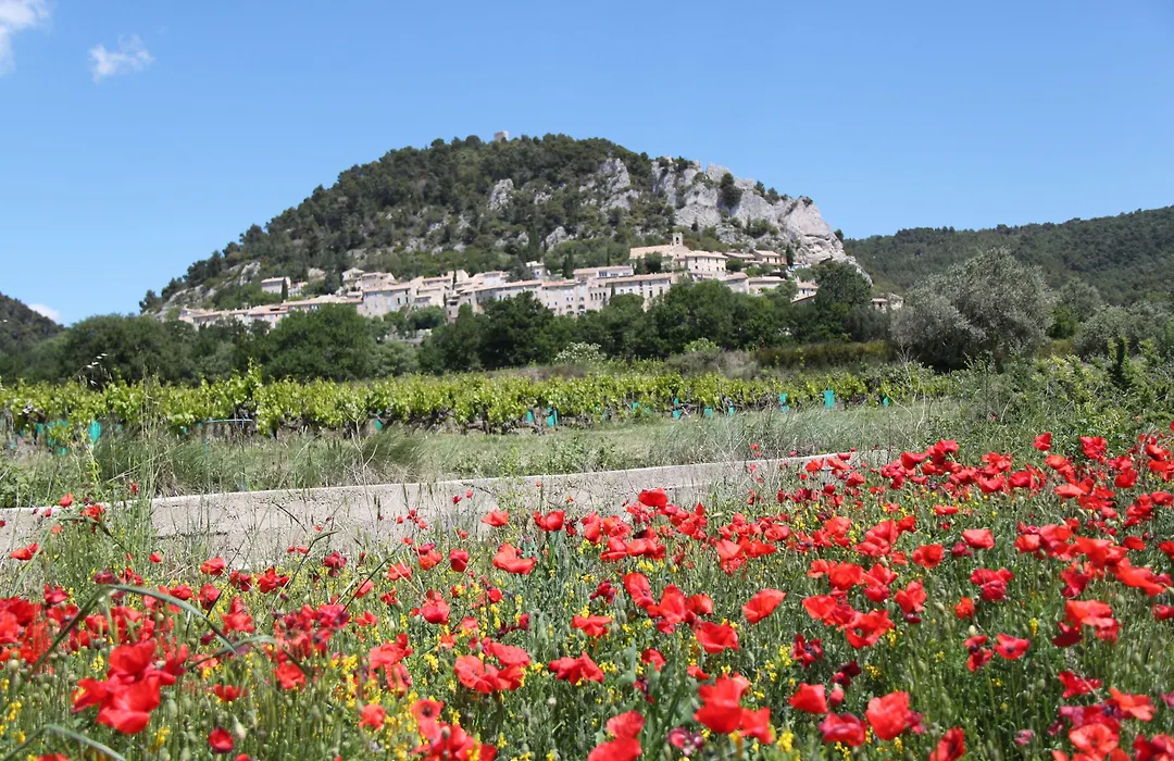 Hotellerie Du Domaine De Cabasse-1