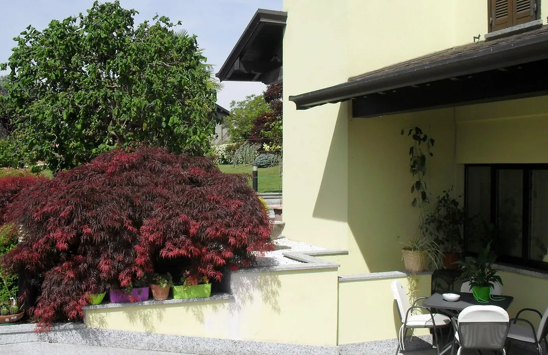 Albergo Residence Isotta-1