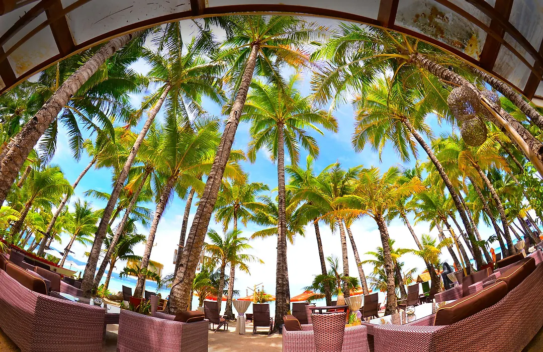 Ambassador In Paradise-1