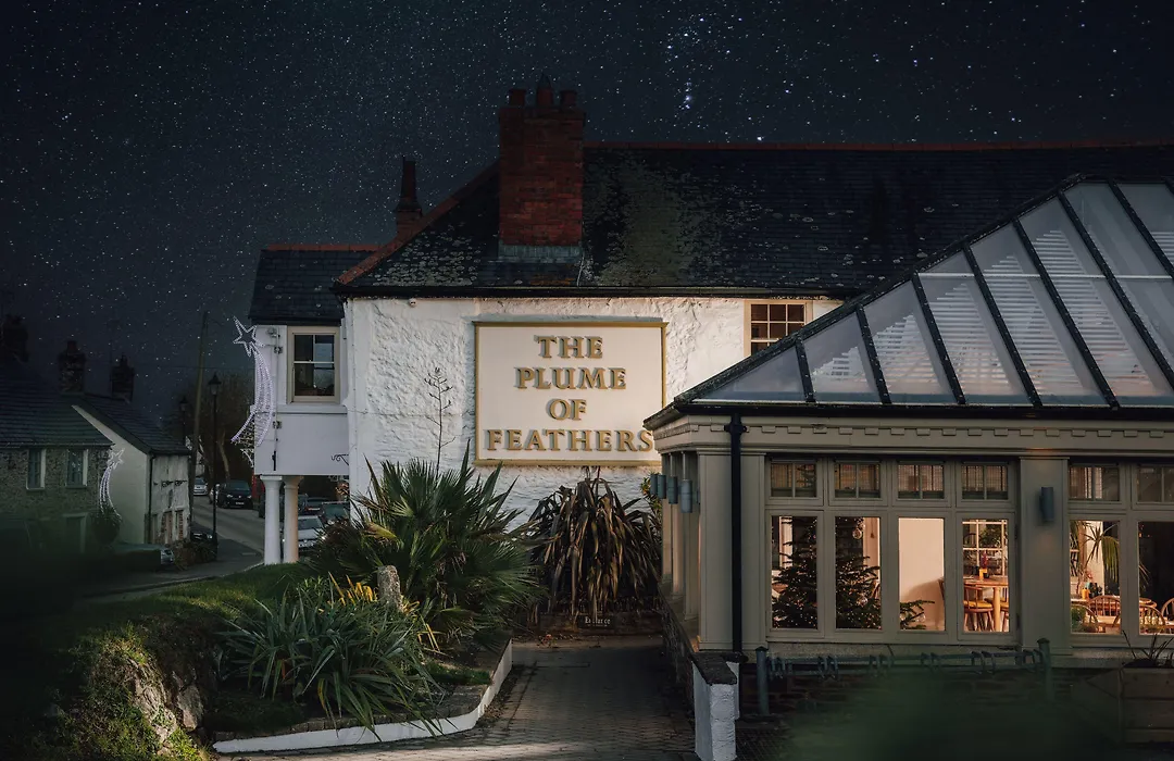 The Plume Of Feathers-1