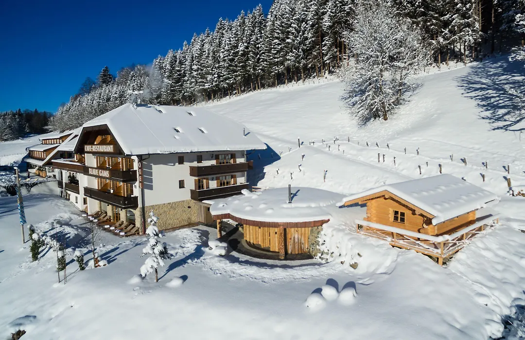 Hotel Blaue Gams ***S-1