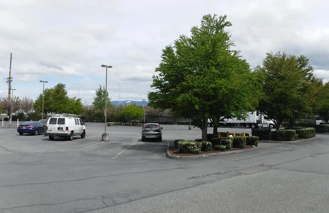 Wingate By Wyndham Mount Vernon-1