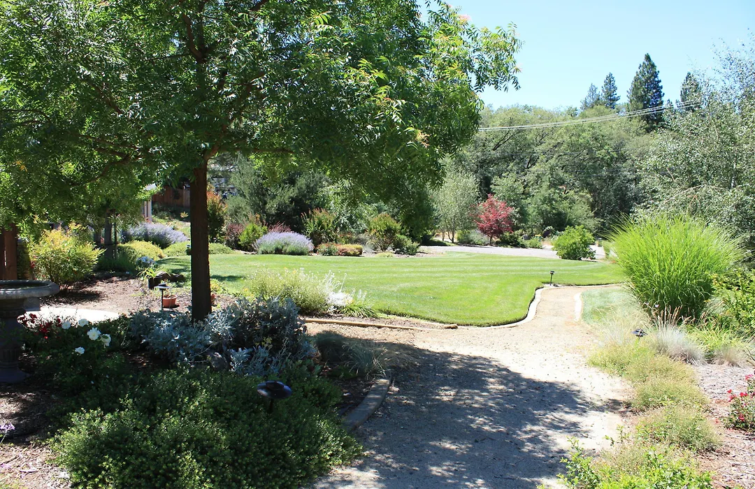 Mother Lode Motel-1