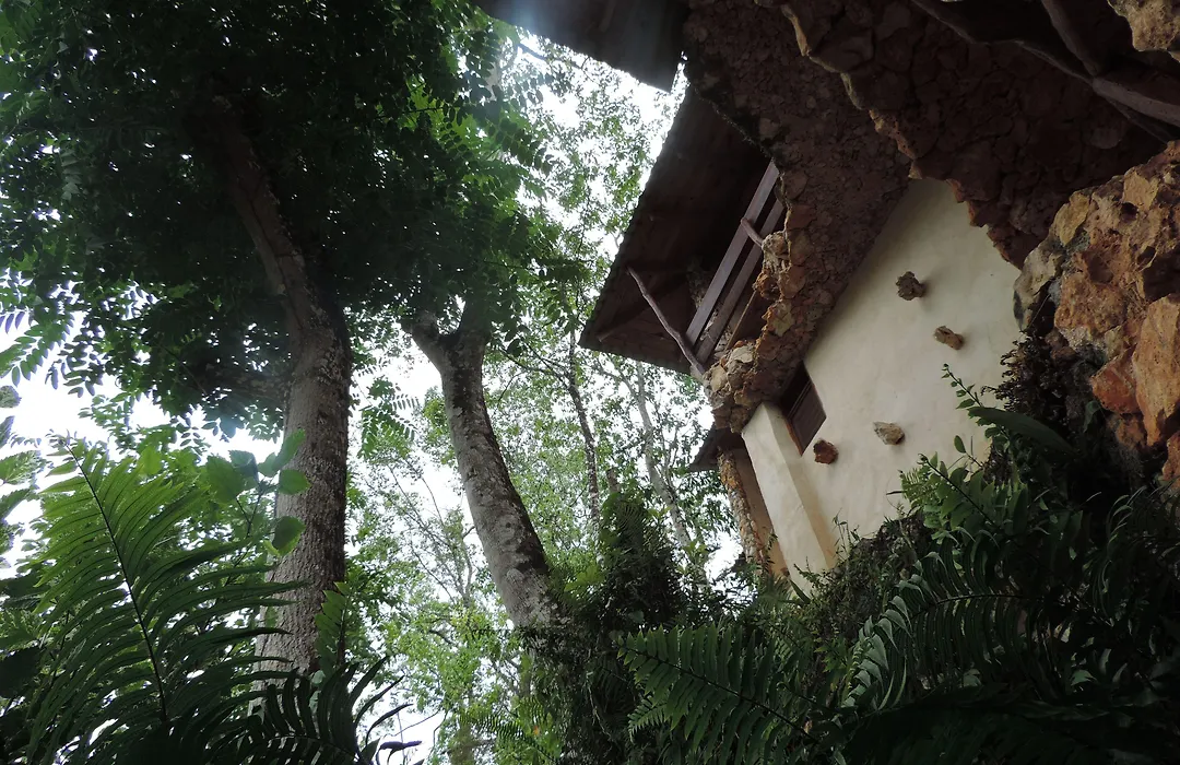 Altos de Caño Hondo-1