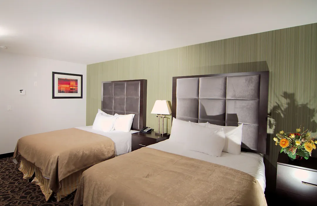 Paradise Inn And Kitchenette Suites Redwater-1