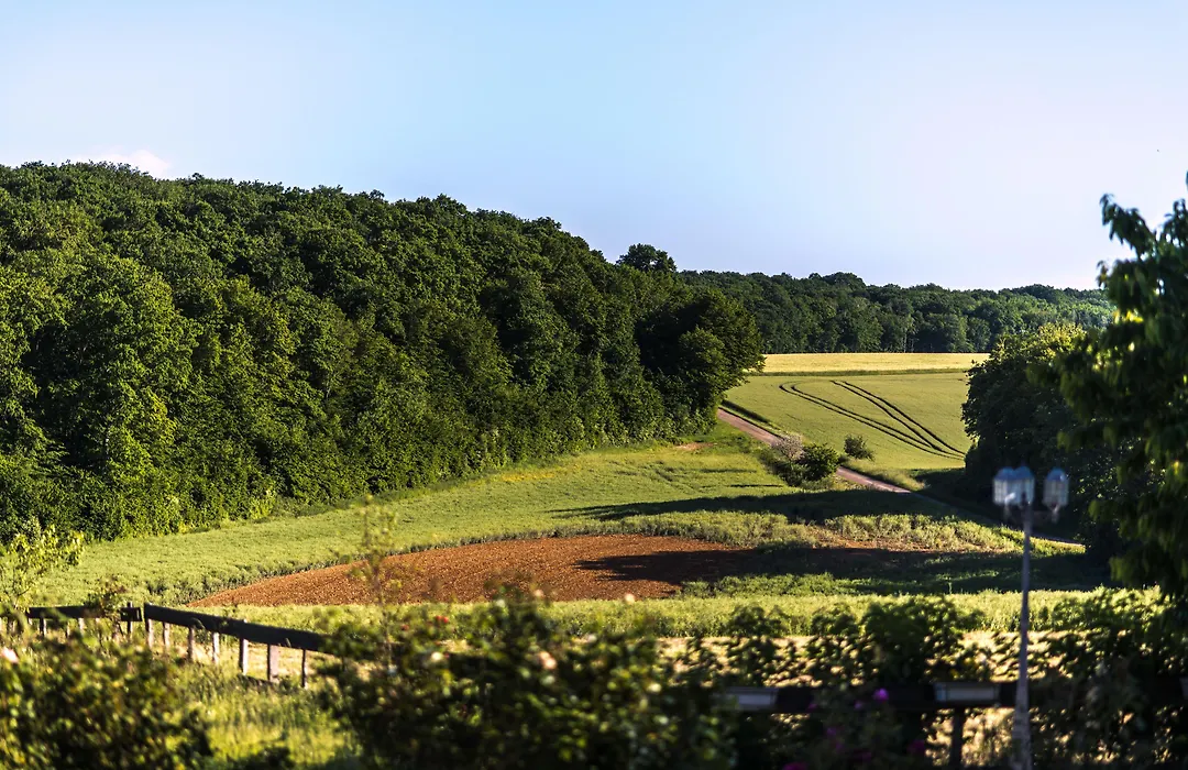 Le Petit Domaine de Bois Avril-1