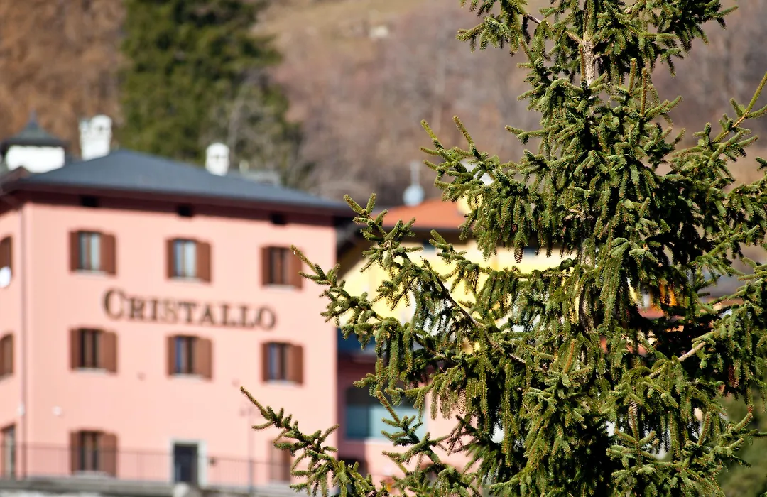Hotel Garni Cristallo-1