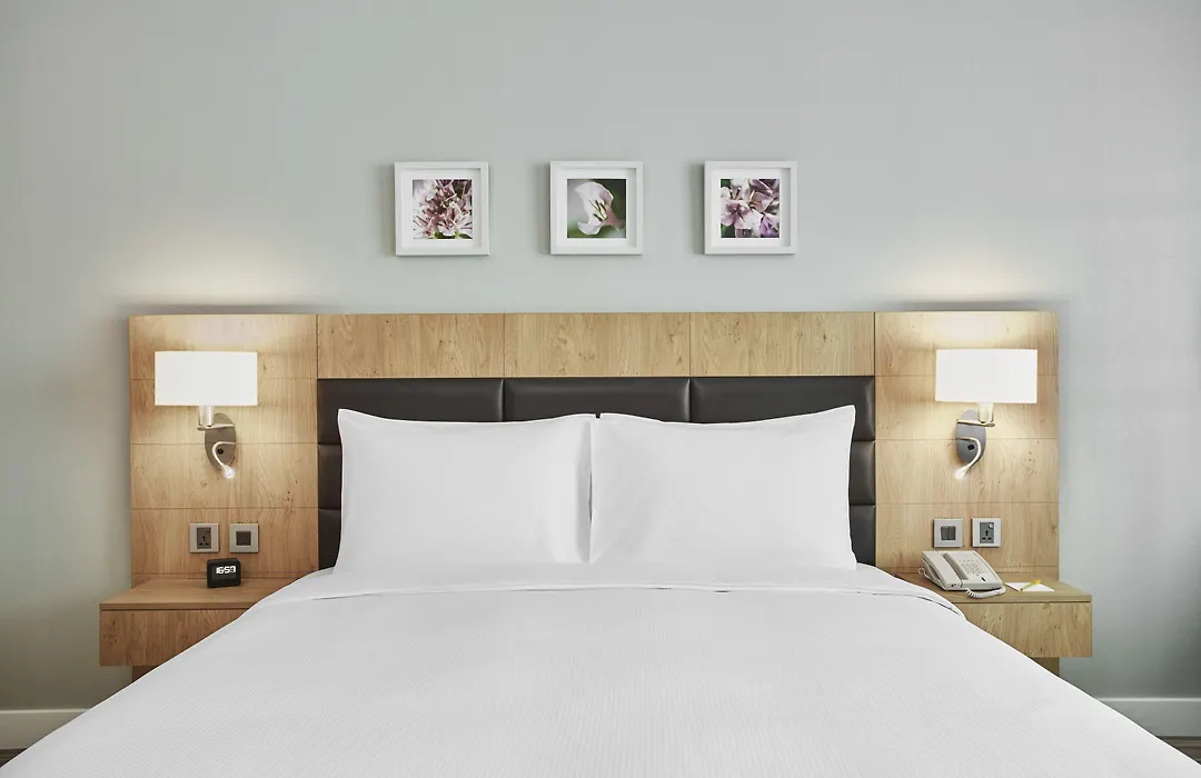 Hilton Garden Inn Dubai, Mall Avenue-1