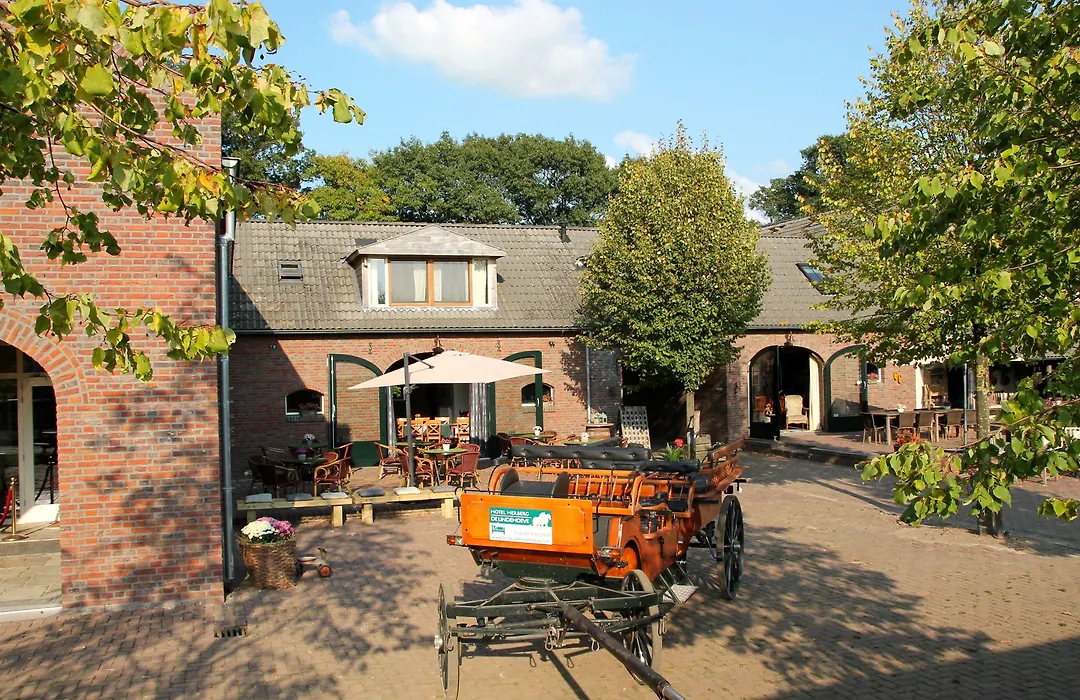 Hotel Herberg De Lindehoeve-1