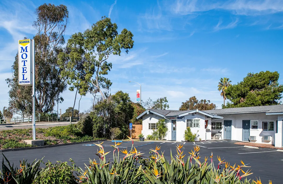 Scandia Motel-1