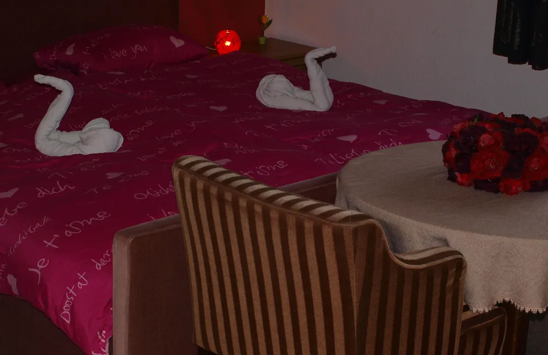 Familie Hotel Kameleon-1