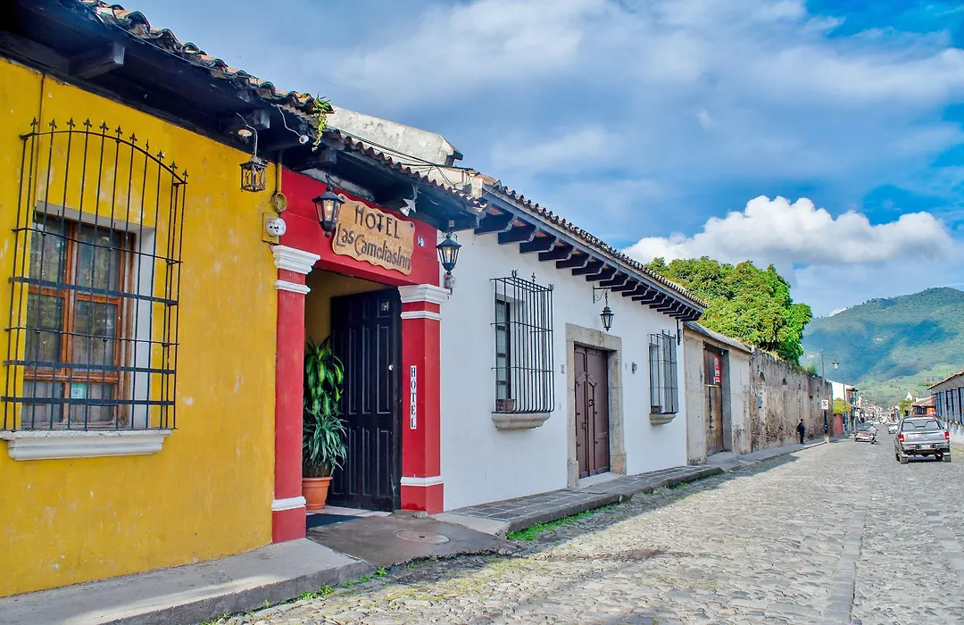 Hotel Las Camelias Inn by AHS-1