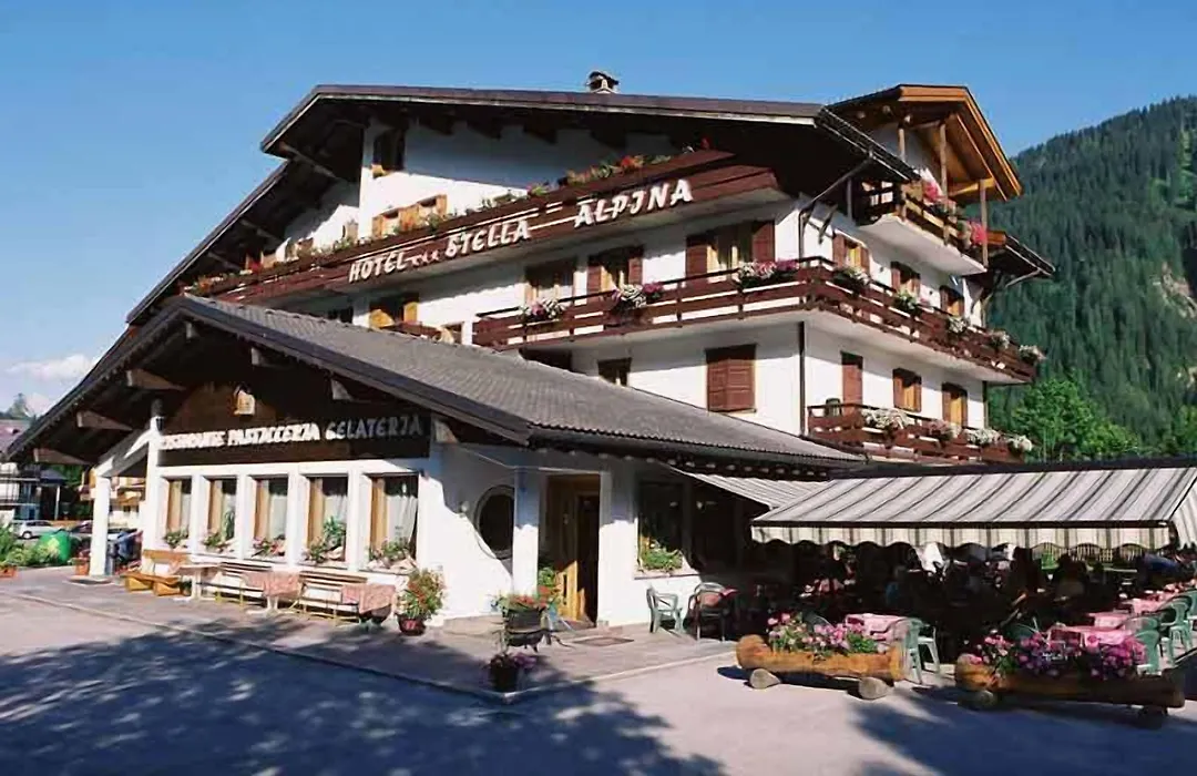 Hotel Stella Alpina-1