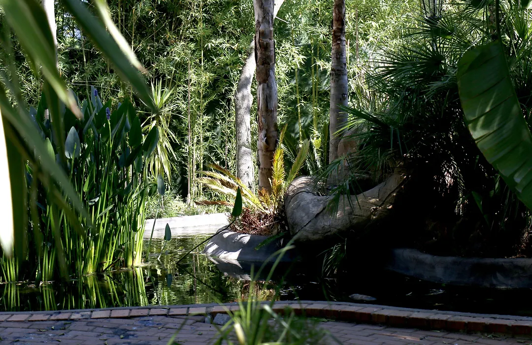 Summerview Guest Lodge-1